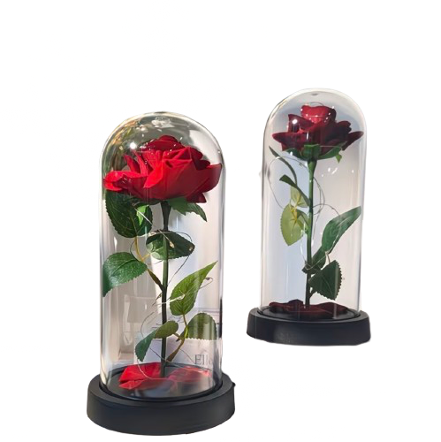 Rose in Glass - 22cm